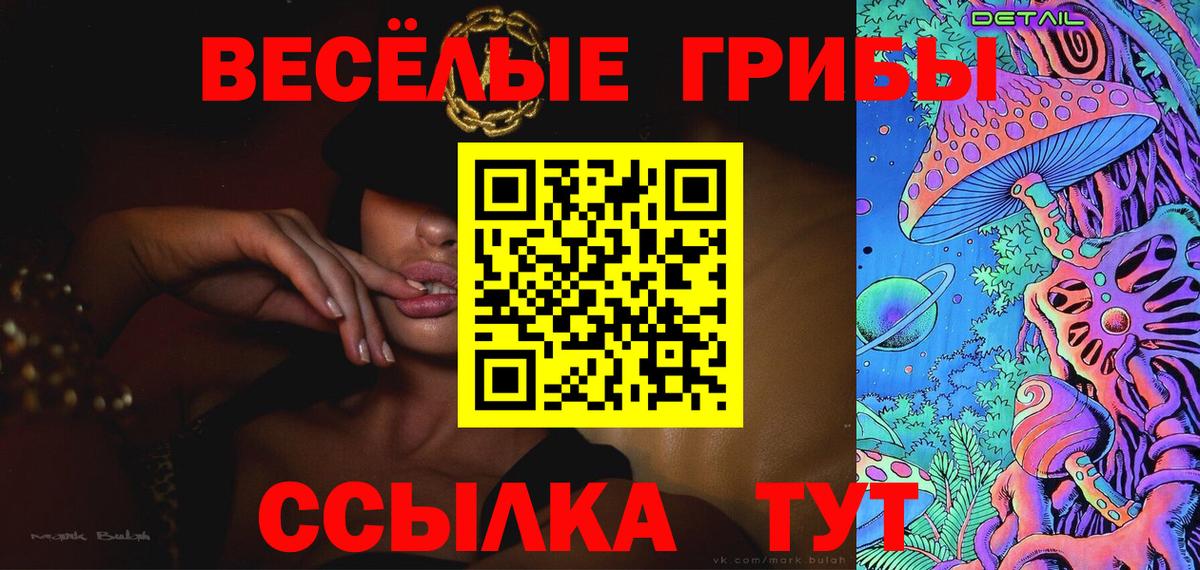 Галлюциногенные грибы GOLDEN TEACHER Владикавказ